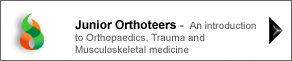 junior orthoteers