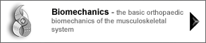 biomechanics